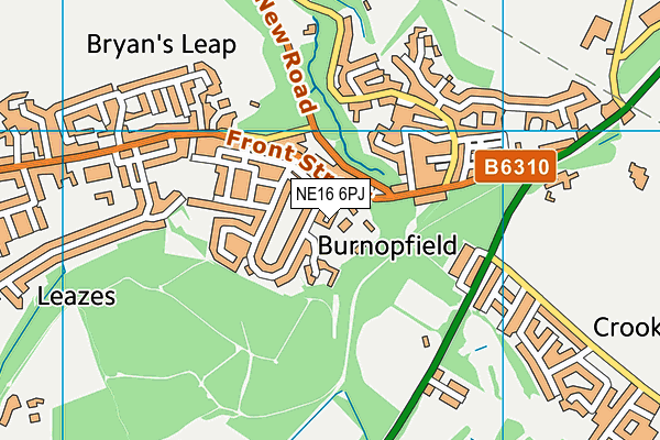 NE16 6PJ map - OS VectorMap District (Ordnance Survey) NE16 6PJ map - OS VectorMap District (Ordnance Survey)
