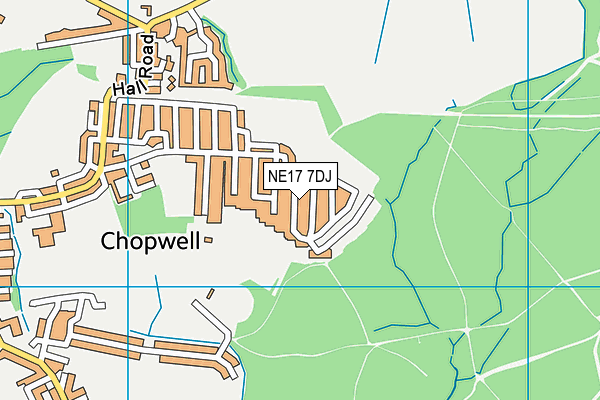 NE17 7DJ map - OS VectorMap District (Ordnance Survey)