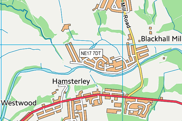 NE17 7DT map - OS VectorMap District (Ordnance Survey) NE17 7DT map - OS VectorMap District (Ordnance Survey)