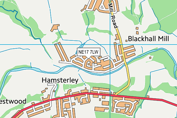 NE17 7LW map - OS VectorMap District (Ordnance Survey)