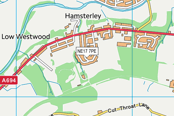 NE17 7PE map - OS VectorMap District (Ordnance Survey)