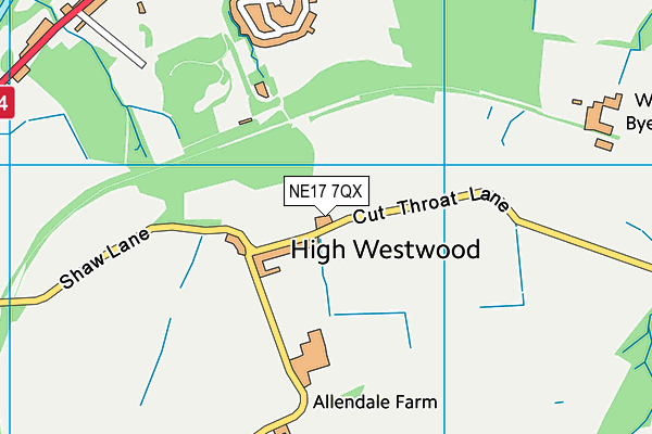 NE17 7QX map - OS VectorMap District (Ordnance Survey) NE17 7QX map - OS VectorMap District (Ordnance Survey)
