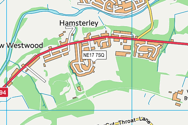 NE17 7SQ map - OS VectorMap District (Ordnance Survey)
