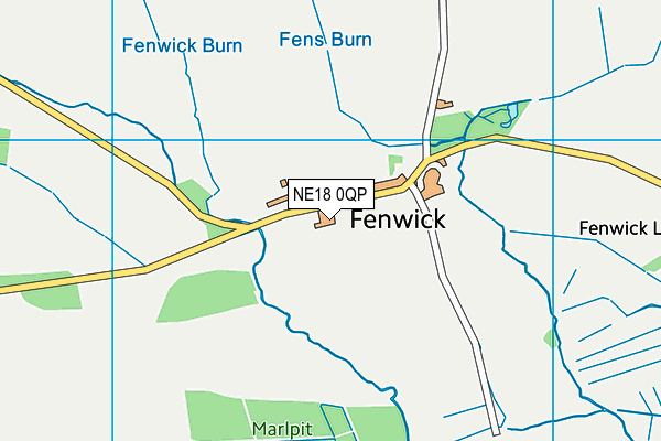 NE18 0QP map - OS VectorMap District (Ordnance Survey) NE18 0QP map - OS VectorMap District (Ordnance Survey)