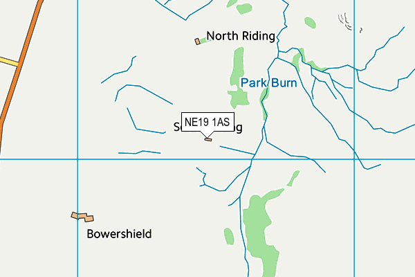 NE19 1AS map - OS VectorMap District (Ordnance Survey) NE19 1AS map - OS VectorMap District (Ordnance Survey)