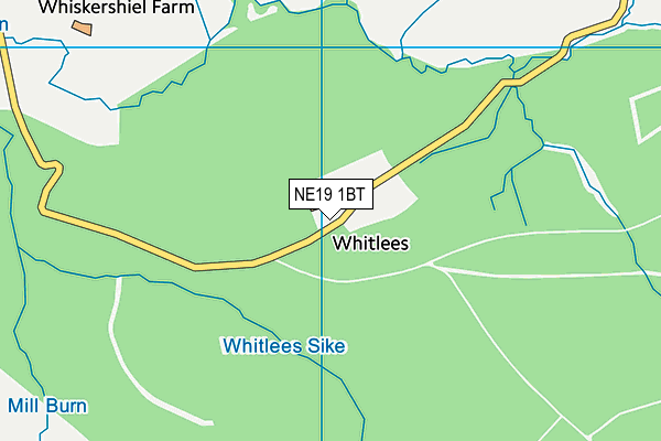 NE19 1BT map - OS VectorMap District (Ordnance Survey) NE19 1BT map - OS VectorMap District (Ordnance Survey)