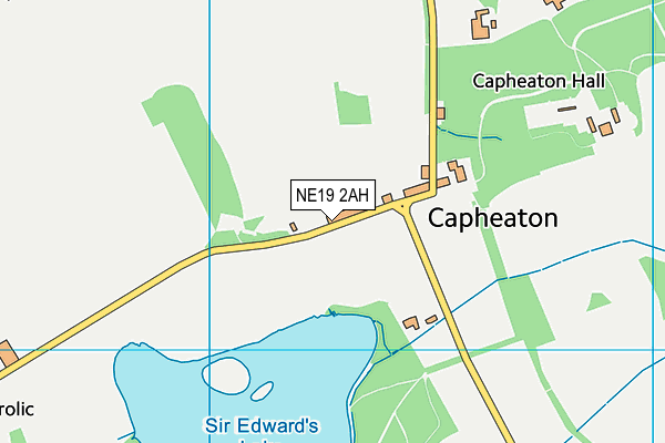 NE19 2AH map - OS VectorMap District (Ordnance Survey) NE19 2AH map - OS VectorMap District (Ordnance Survey)