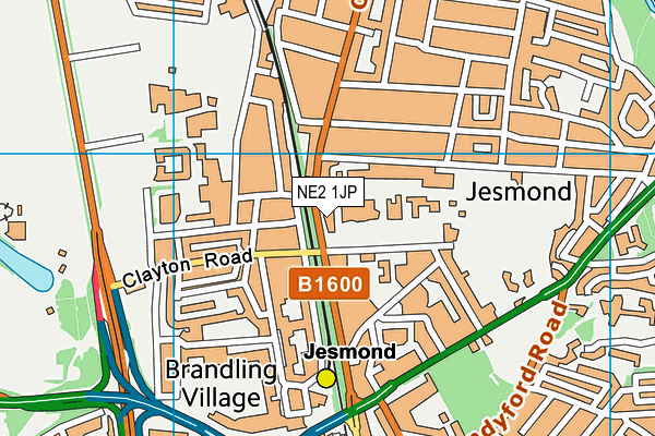NE2 1JP map - OS VectorMap District (Ordnance Survey) NE2 1JP map - OS VectorMap District (Ordnance Survey)
