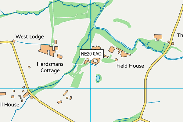 NE20 0AQ map - OS VectorMap District (Ordnance Survey) NE20 0AQ map - OS VectorMap District (Ordnance Survey)
