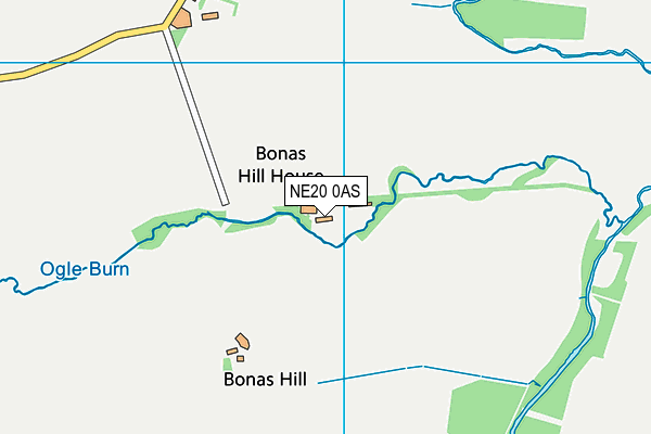 NE20 0AS map - OS VectorMap District (Ordnance Survey) NE20 0AS map - OS VectorMap District (Ordnance Survey)