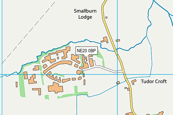 NE20 0BP map - OS VectorMap District (Ordnance Survey) NE20 0BP map - OS VectorMap District (Ordnance Survey)