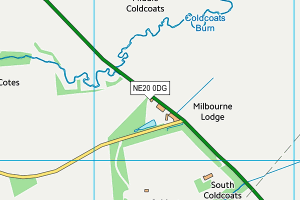 NE20 0DG map - OS VectorMap District (Ordnance Survey) NE20 0DG map - OS VectorMap District (Ordnance Survey)