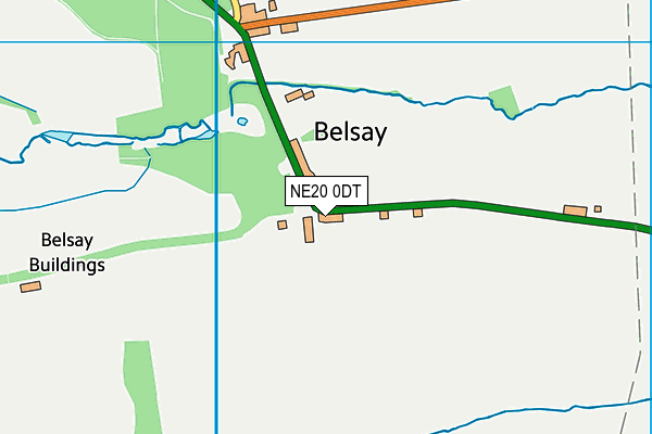 NE20 0DT map - OS VectorMap District (Ordnance Survey) NE20 0DT map - OS VectorMap District (Ordnance Survey)