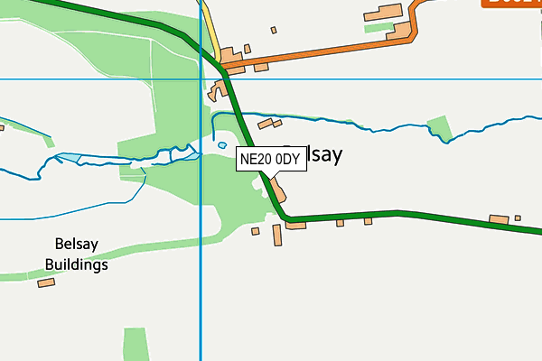 NE20 0DY map - OS VectorMap District (Ordnance Survey)