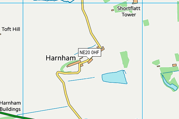 NE20 0HF map - OS VectorMap District (Ordnance Survey)