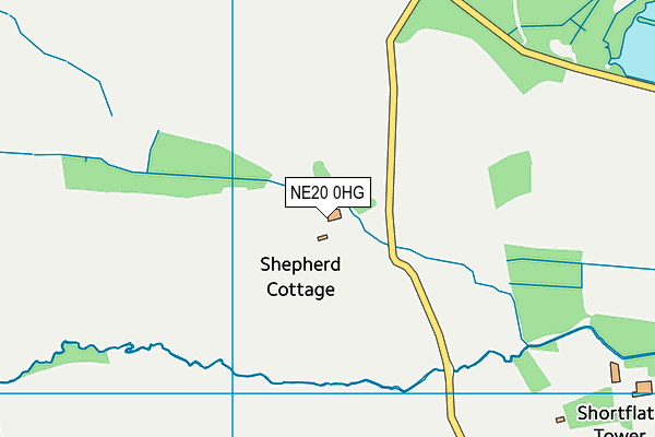 NE20 0HG map - OS VectorMap District (Ordnance Survey)