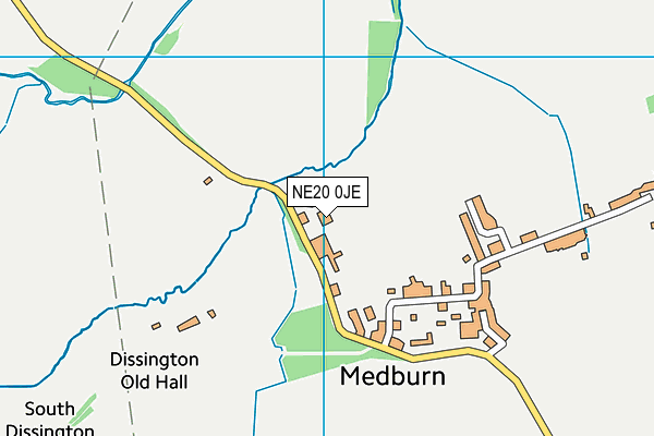 NE20 0JE map - OS VectorMap District (Ordnance Survey)