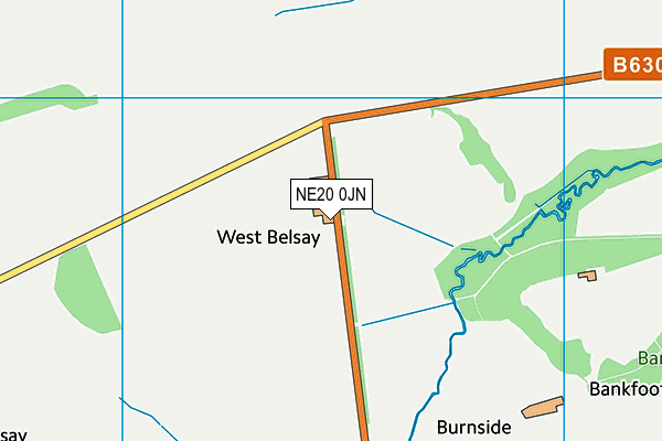 NE20 0JN map - OS VectorMap District (Ordnance Survey) NE20 0JN map - OS VectorMap District (Ordnance Survey)