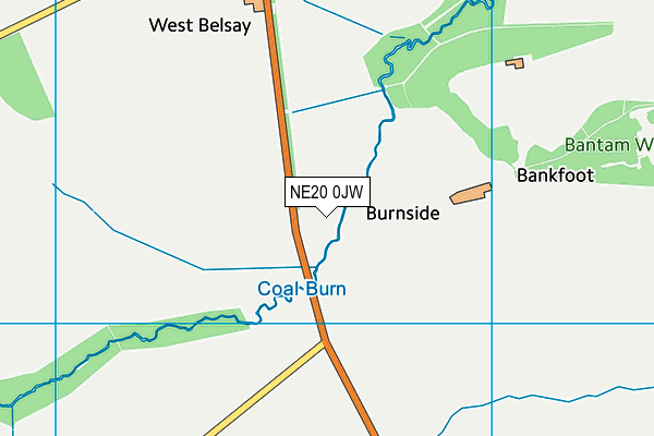 NE20 0JW map - OS VectorMap District (Ordnance Survey) NE20 0JW map - OS VectorMap District (Ordnance Survey)