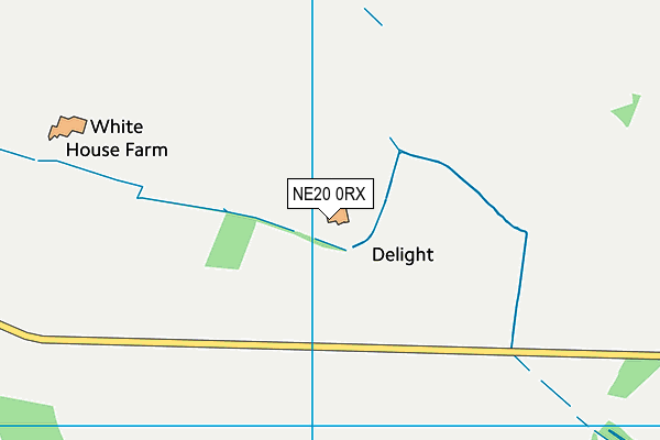 NE20 0RX map - OS VectorMap District (Ordnance Survey) NE20 0RX map - OS VectorMap District (Ordnance Survey)