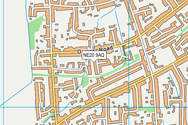 NE20 9AQ map - OS VectorMap District (Ordnance Survey) NE20 9AQ map - OS VectorMap District (Ordnance Survey)