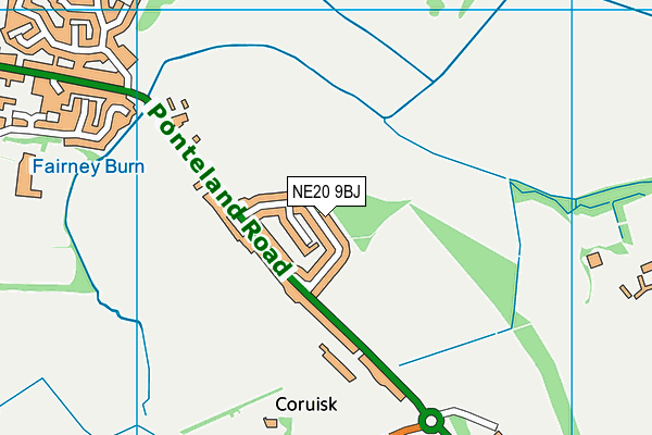 NE20 9BJ map - OS VectorMap District (Ordnance Survey) NE20 9BJ map - OS VectorMap District (Ordnance Survey)