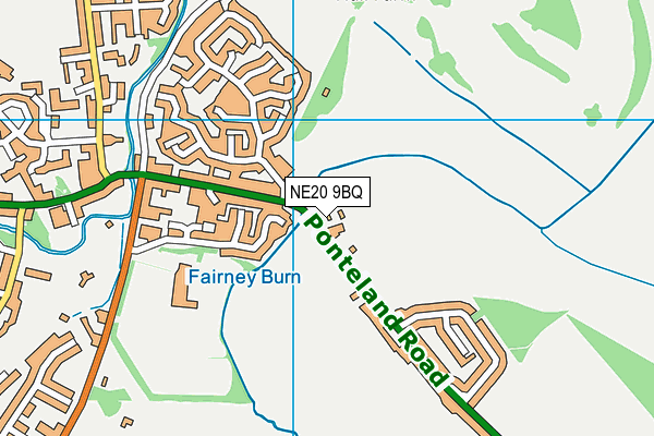NE20 9BQ map - OS VectorMap District (Ordnance Survey) NE20 9BQ map - OS VectorMap District (Ordnance Survey)