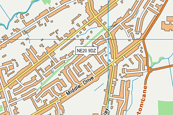 NE20 9DZ map - OS VectorMap District (Ordnance Survey)