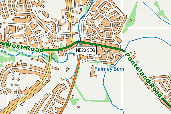 NE20 9EG map - OS VectorMap District (Ordnance Survey)