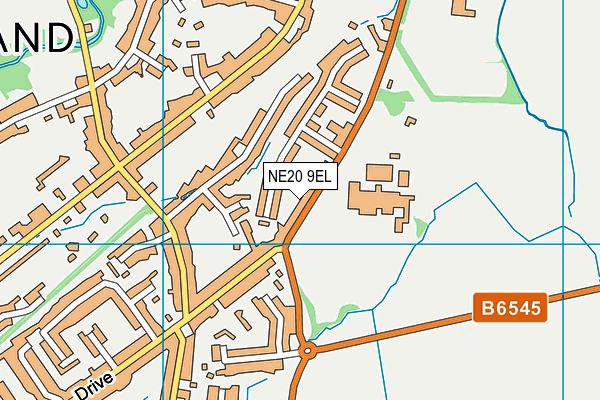 NE20 9EL map - OS VectorMap District (Ordnance Survey) NE20 9EL map - OS VectorMap District (Ordnance Survey)