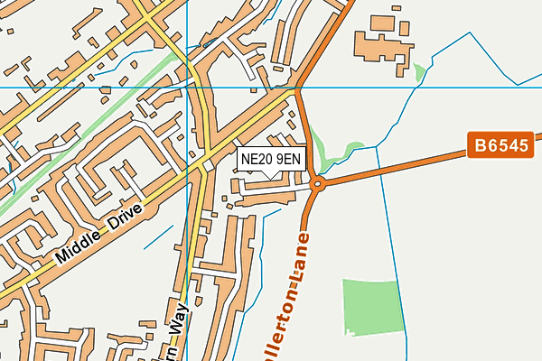 NE20 9EN map - OS VectorMap District (Ordnance Survey) NE20 9EN map - OS VectorMap District (Ordnance Survey)