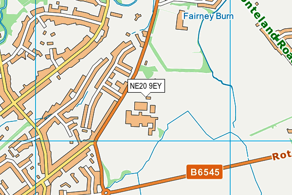 NE20 9EY map - OS VectorMap District (Ordnance Survey) NE20 9EY map - OS VectorMap District (Ordnance Survey)