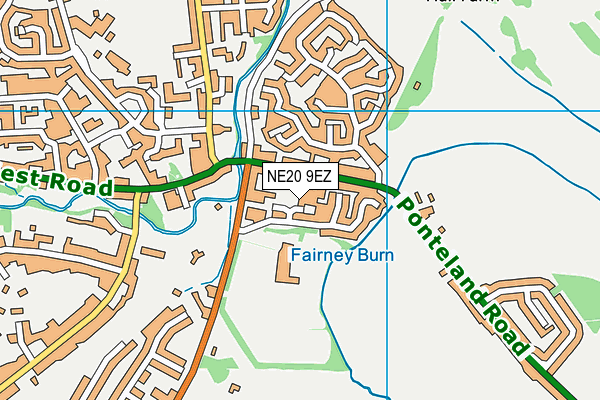 NE20 9EZ map - OS VectorMap District (Ordnance Survey) NE20 9EZ map - OS VectorMap District (Ordnance Survey)