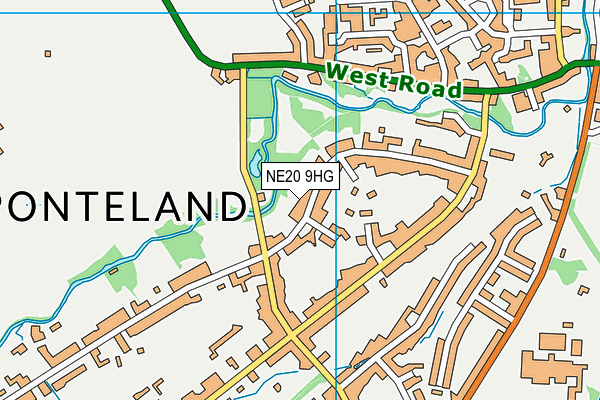 NE20 9HG map - OS VectorMap District (Ordnance Survey)