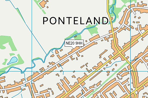 NE20 9HH map - OS VectorMap District (Ordnance Survey) NE20 9HH map - OS VectorMap District (Ordnance Survey)