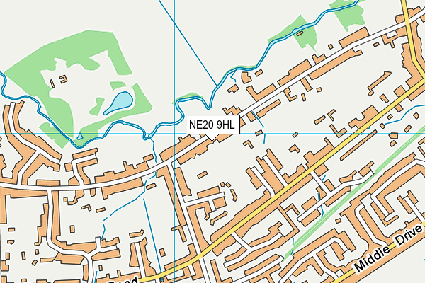 NE20 9HL map - OS VectorMap District (Ordnance Survey) NE20 9HL map - OS VectorMap District (Ordnance Survey)