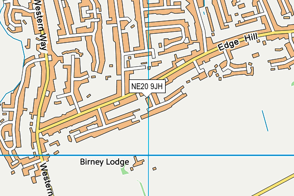 NE20 9JH map - OS VectorMap District (Ordnance Survey) NE20 9JH map - OS VectorMap District (Ordnance Survey)