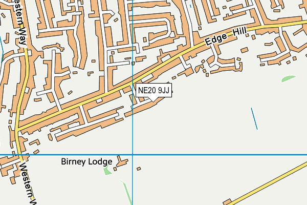 NE20 9JJ map - OS VectorMap District (Ordnance Survey) NE20 9JJ map - OS VectorMap District (Ordnance Survey)
