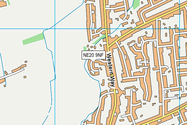 NE20 9NF map - OS VectorMap District (Ordnance Survey) NE20 9NF map - OS VectorMap District (Ordnance Survey)