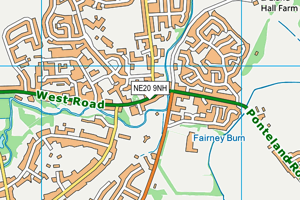 NE20 9NH map - OS VectorMap District (Ordnance Survey) NE20 9NH map - OS VectorMap District (Ordnance Survey)