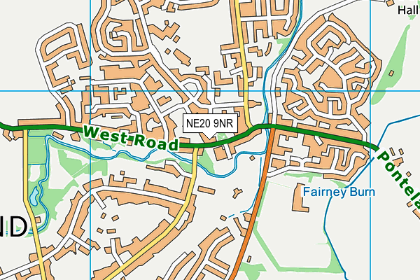 NE20 9NR map - OS VectorMap District (Ordnance Survey) NE20 9NR map - OS VectorMap District (Ordnance Survey)