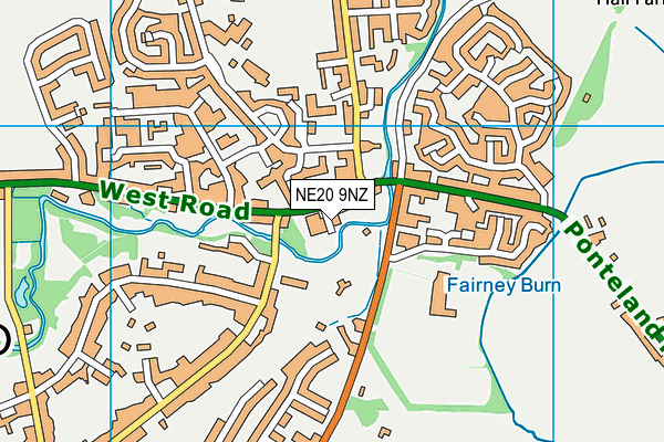 NE20 9NZ map - OS VectorMap District (Ordnance Survey)