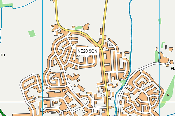 NE20 9QN map - OS VectorMap District (Ordnance Survey) NE20 9QN map - OS VectorMap District (Ordnance Survey)