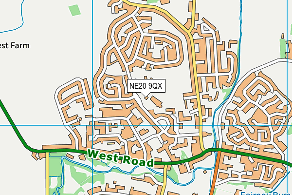 NE20 9QX map - OS VectorMap District (Ordnance Survey) NE20 9QX map - OS VectorMap District (Ordnance Survey)