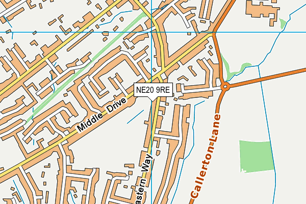 NE20 9RE map - OS VectorMap District (Ordnance Survey) NE20 9RE map - OS VectorMap District (Ordnance Survey)