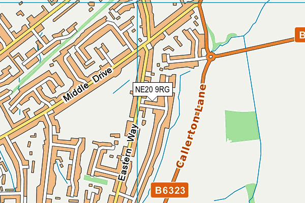 NE20 9RG map - OS VectorMap District (Ordnance Survey) NE20 9RG map - OS VectorMap District (Ordnance Survey)