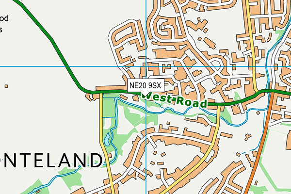 NE20 9SX map - OS VectorMap District (Ordnance Survey) NE20 9SX map - OS VectorMap District (Ordnance Survey)