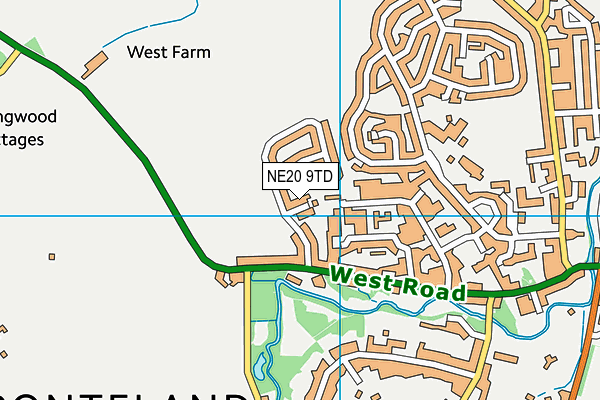 NE20 9TD map - OS VectorMap District (Ordnance Survey)