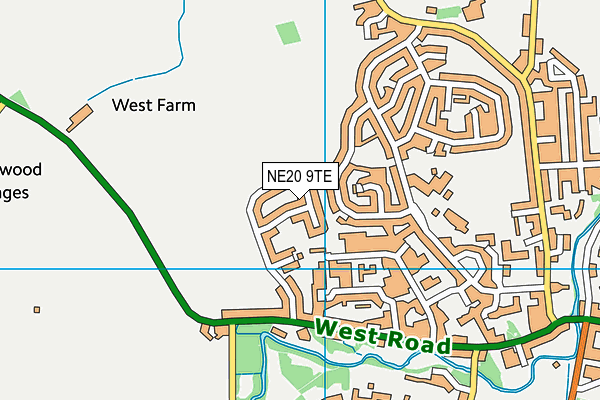 NE20 9TE map - OS VectorMap District (Ordnance Survey) NE20 9TE map - OS VectorMap District (Ordnance Survey)