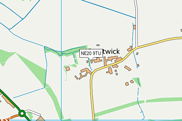 NE20 9TU map - OS VectorMap District (Ordnance Survey) NE20 9TU map - OS VectorMap District (Ordnance Survey)